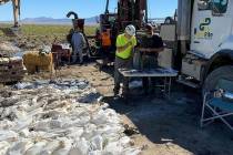 Viva Gold Corp. The Viva Gold drilling project continues in Tonopah with additional locations i ...