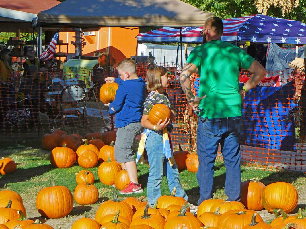 Robin Hebrock/Pahrump Valley Times Every year, the Pumpkin Days Pumpkin Patch is busy with atte ...