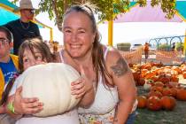 John Clausen/Pahrump Valley Times The 15th Annual Pumpkin Days event hosted by PDOP will take p ...