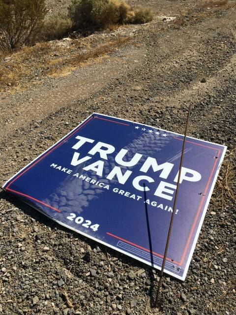 A flattened Trump sign with tire marks lays on the side of the road on Sunday, Oct. 13, 2024 in ...