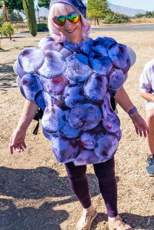 John Clausen/Pahrump Valley Times Dressed to impress, a Grape Stomp patron shows off her perfec ...