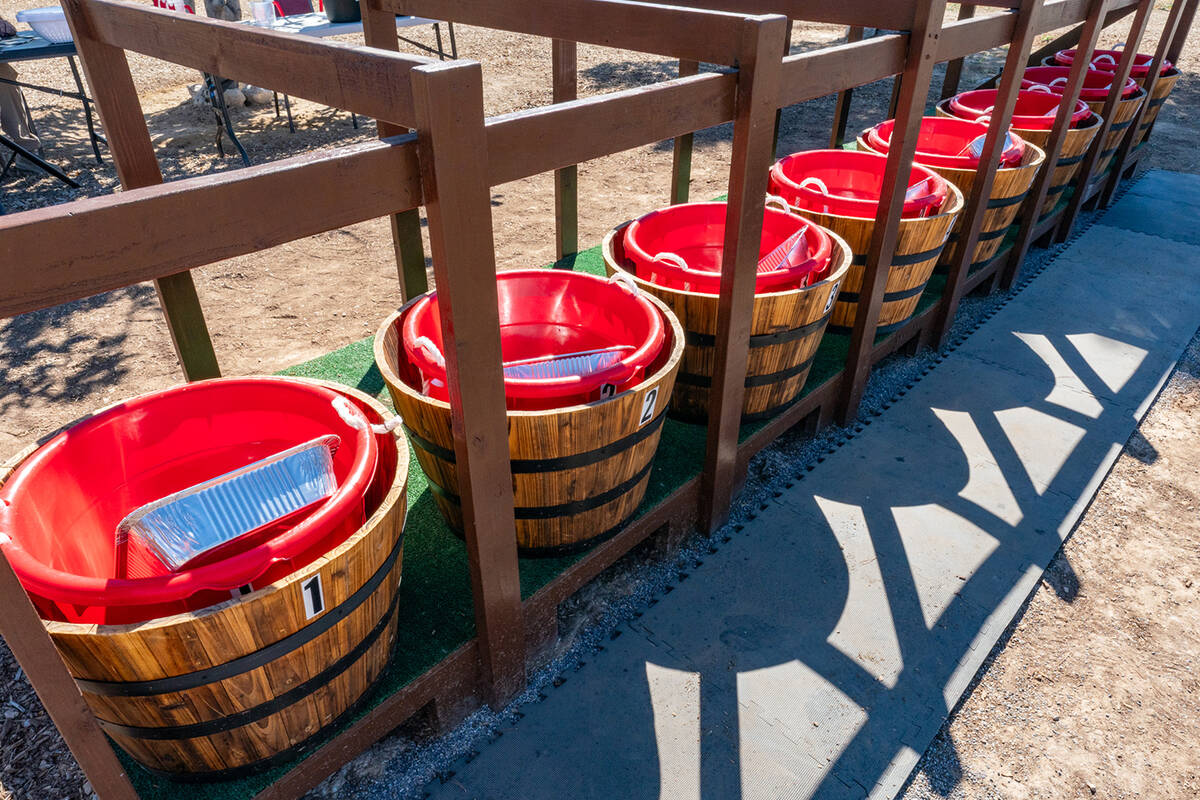 John Clausen/Pahrump Valley Times Barrels sit in readiness for the first round of furious footw ...