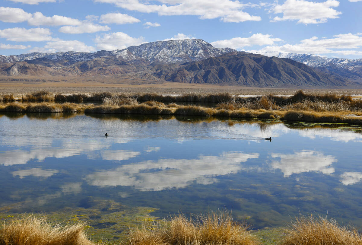 The pond near the Rhyolite Ridge lithium-boron mine project site is seen on Feb. 22, 2024, in E ...