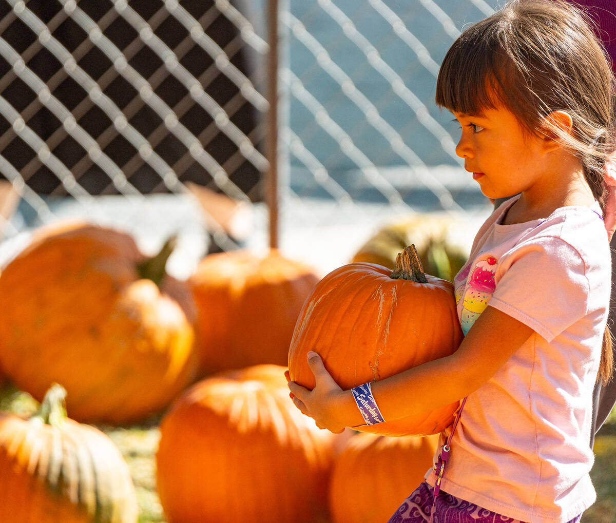 John Clausen/Pahrump Valley Times The 15th Annual Pumpkin Days took place Oct. 24-27, with all ...