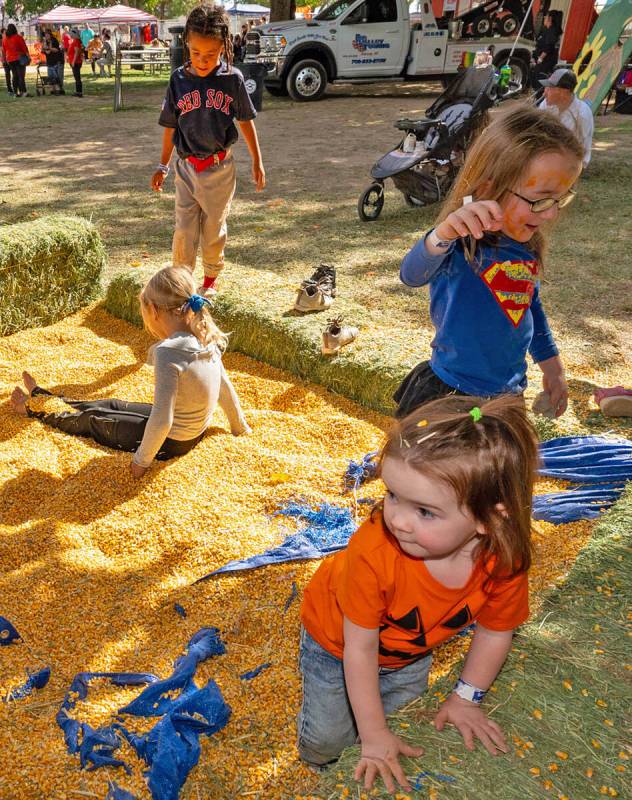 John Clausen/Pahrump Valley Times Romping in the corn was a huge draw for the younger set at Pu ...