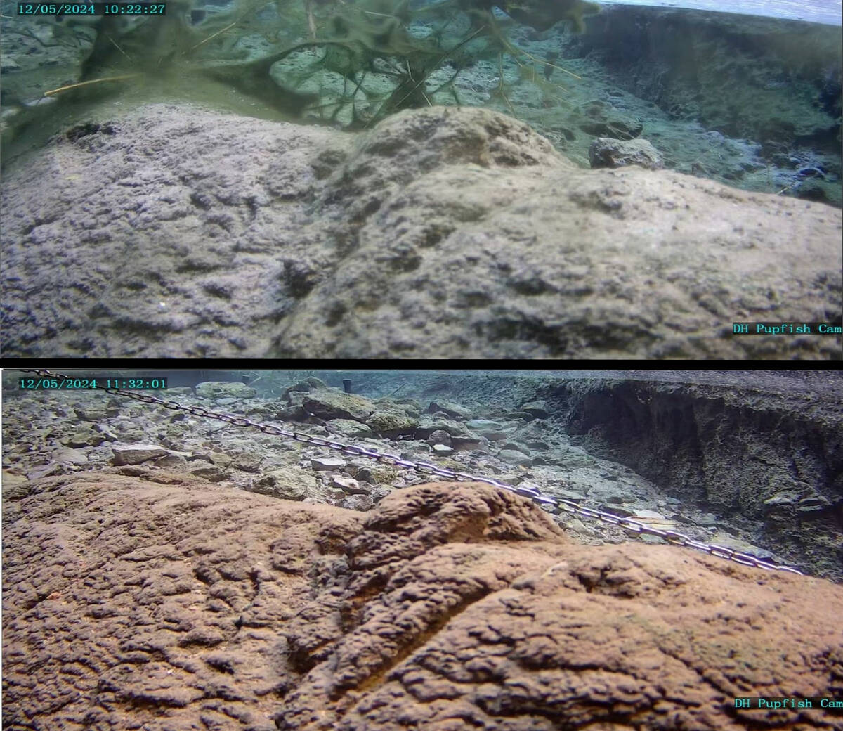 Underwater photos of Devils Hole before and after the seiche on Thursday, Dec. 5, 2024. (Nation ...