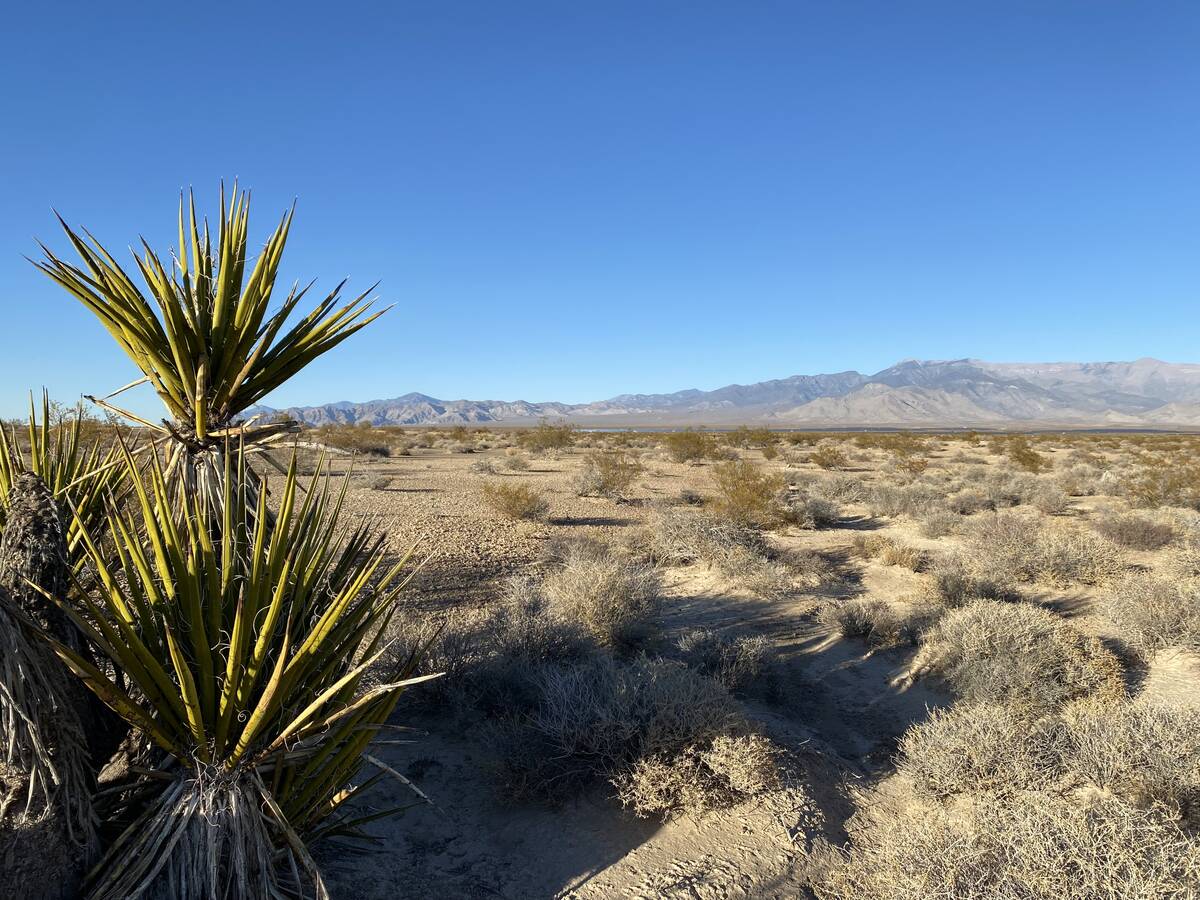 Robin Hebrock/Pahrump Valley Times The Nevada desert is a prime location for solar collection a ...