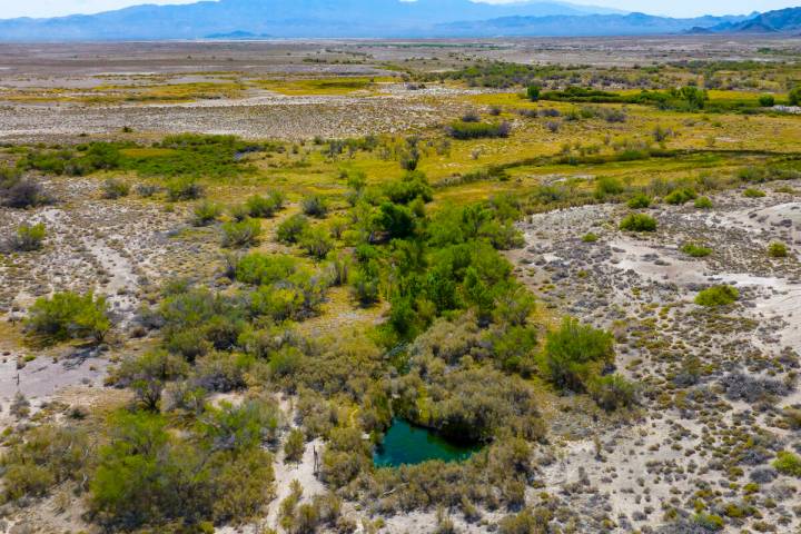 An aerial view of Fairbanks Spring at Ash Meadows National Wildlife Refuge in the Amargosa Vall ...