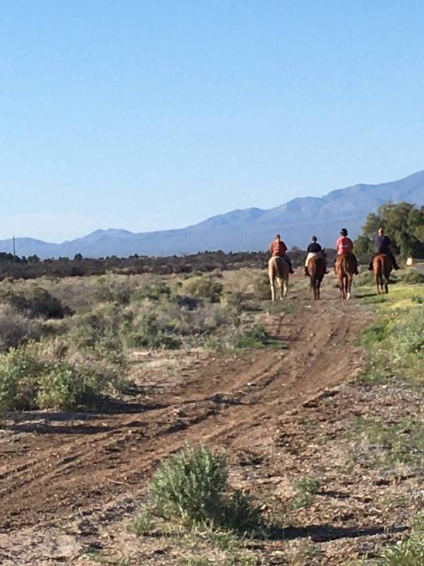 Sundance Ranch Adults and children are invited to come visit the Sundance Ranch for horse rides ...