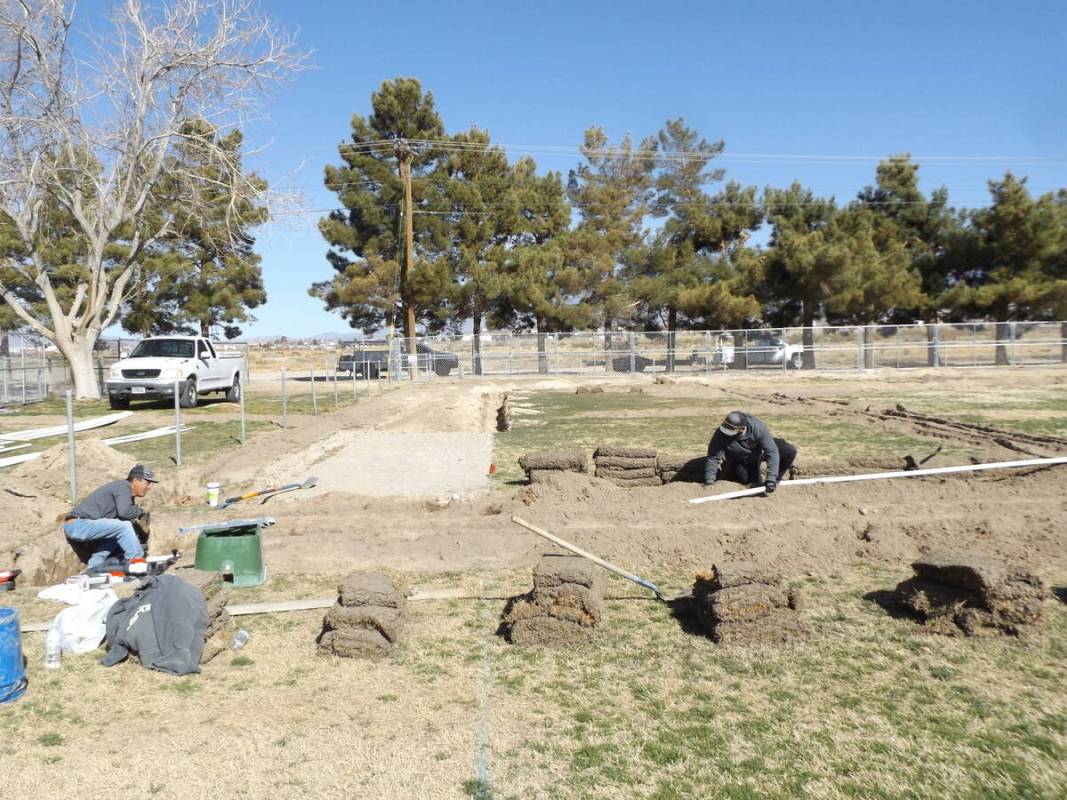 Charlotte Uyeno/Pahrump Valley Times With 22 teams and 225 players, the minors divisions coveri ...