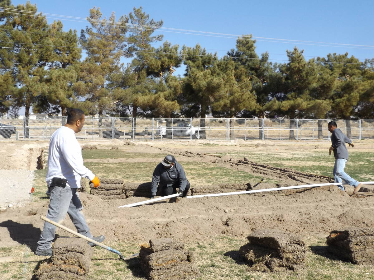 Charlotte Uyeno/Pahrump Valley Times For years, Ian Deutch Memorial Park has been tasked with s ...