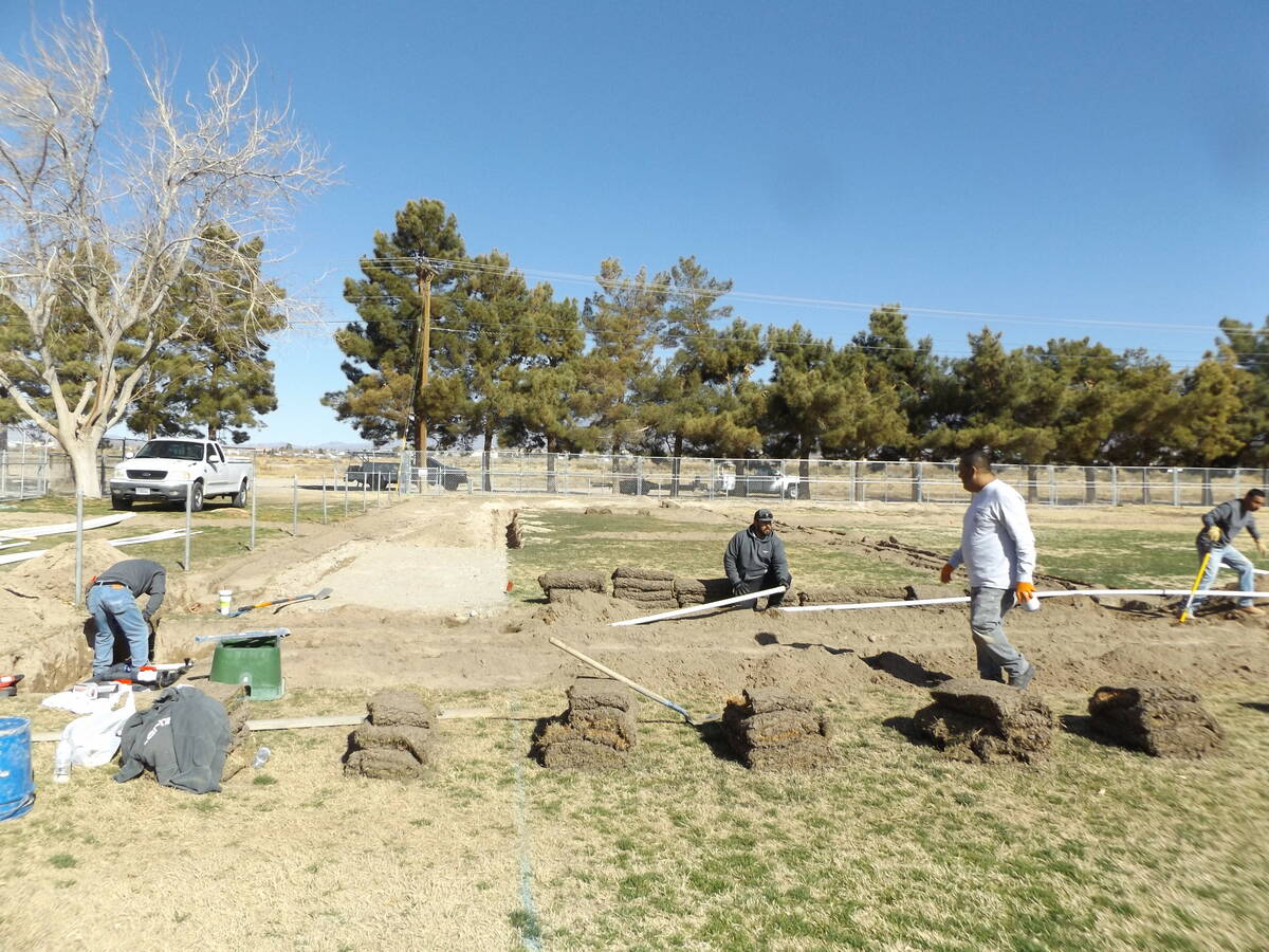 Charlotte Uyeno/Pahrump Valley Times Pahrump Valley Little League fans are in for a treat this ...