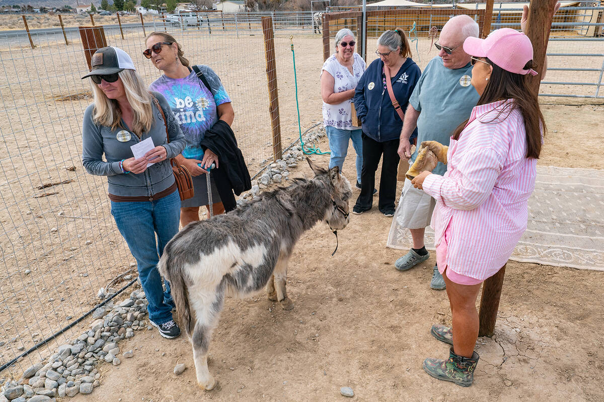 John Clausen/Pahrump Valley Times On Saturday, March 1, residents and visitors were able to sto ...