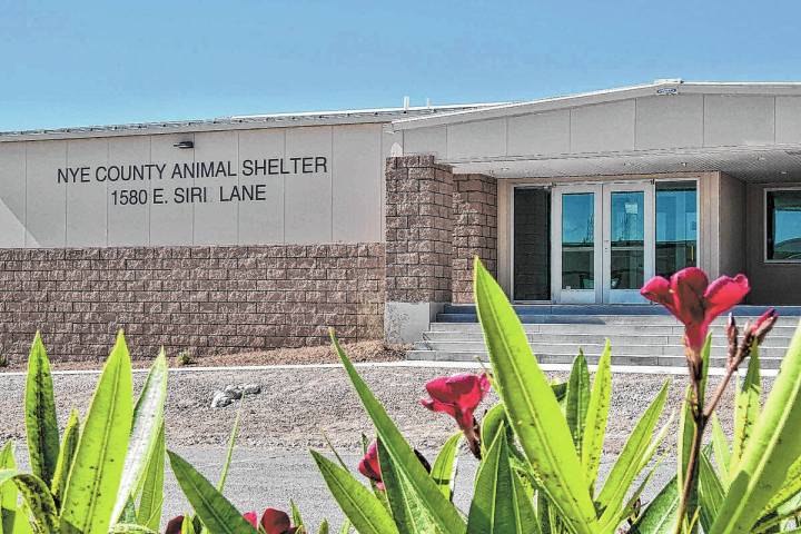 Pahrump Valley Times file The Nye County Animal Shelter in Pahrump is located at 1580 E. Siri Lane.