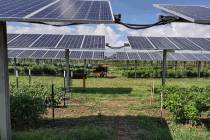 Misha Allen/Special to the Pahrump Valley Times When picturing a commercial-scale solar generat ...