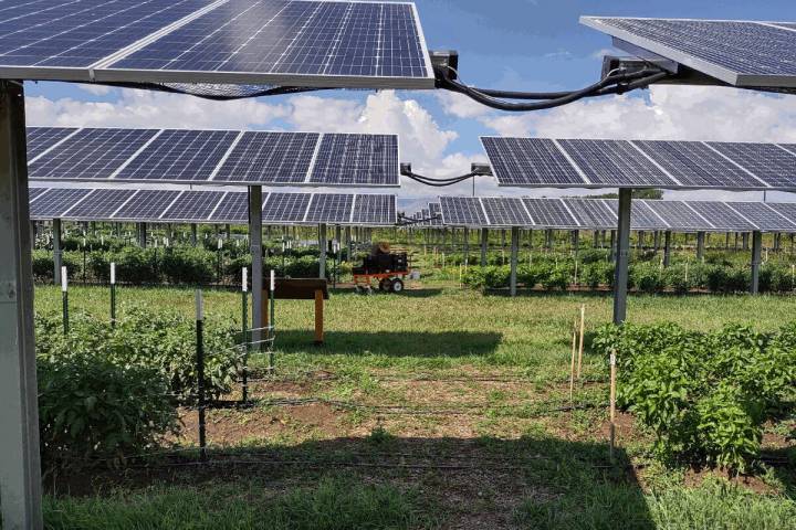 Misha Allen/Special to the Pahrump Valley Times When picturing a commercial-scale solar generat ...