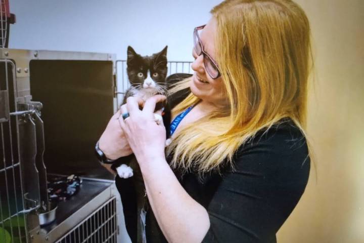 Nye County Animal Shelter The Bissell Foundation Empty the Shelters pet adoption campaign retu ...