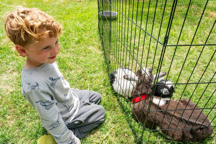 John Clausen/Pahrump Valley Times The Wild West Extravaganza took place over the first weekend ...