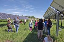 Misha Allen/Special to the Pahrump Valley Times Jack's Solar Garden in Colorado is the country' ...