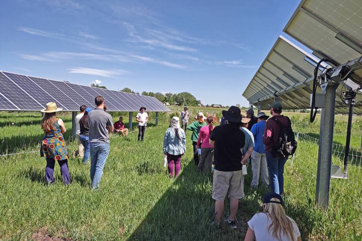 Misha Allen/Special to the Pahrump Valley Times Jack's Solar Garden in Colorado is the country' ...