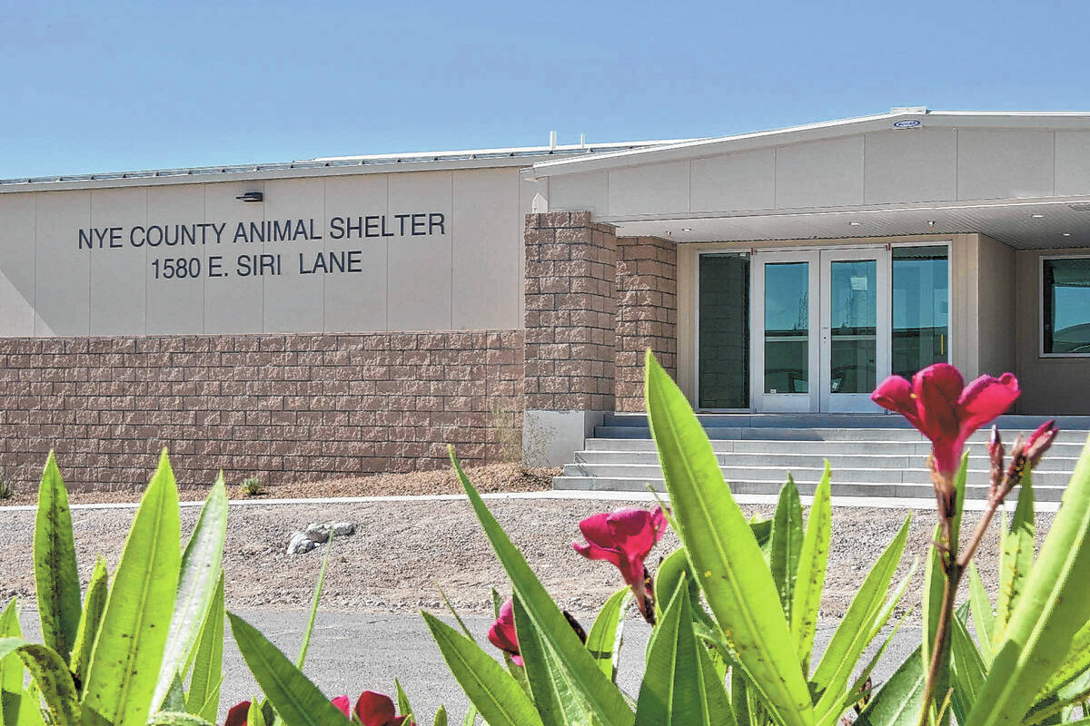 The Nye County Animal Shelter in Pahrump is located at 1580 Siri Ln. (Pahrump Valley Times file)