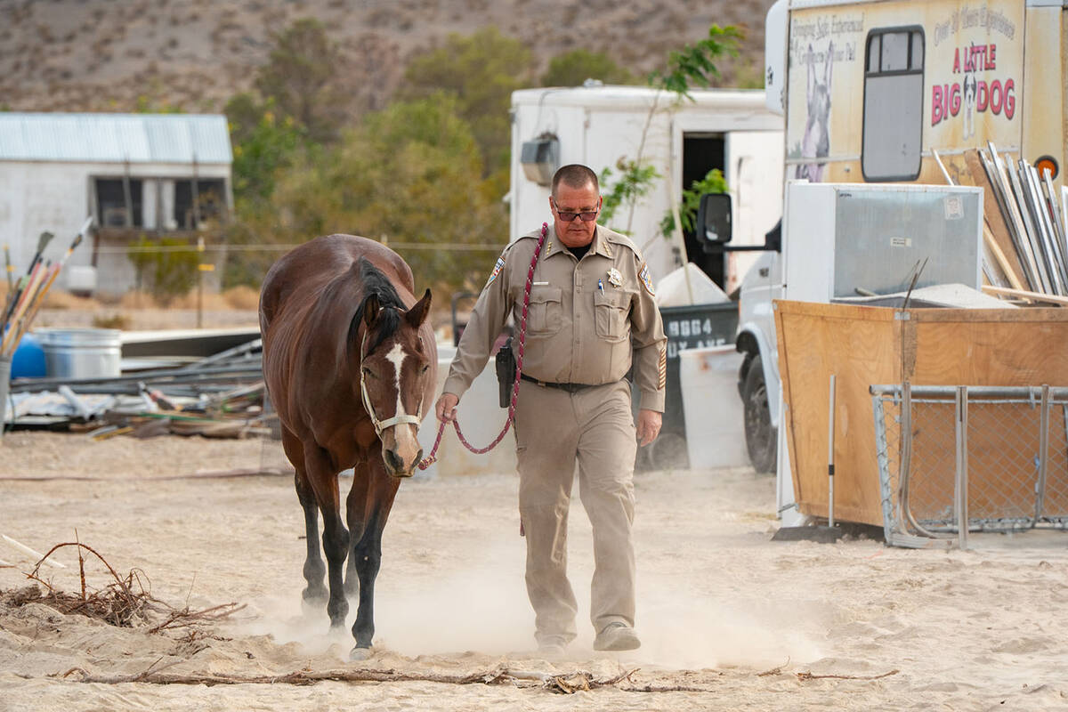 Sheriff Joe McGill confirmed Nye County Animal Services is taking care of the animals, as the c ...