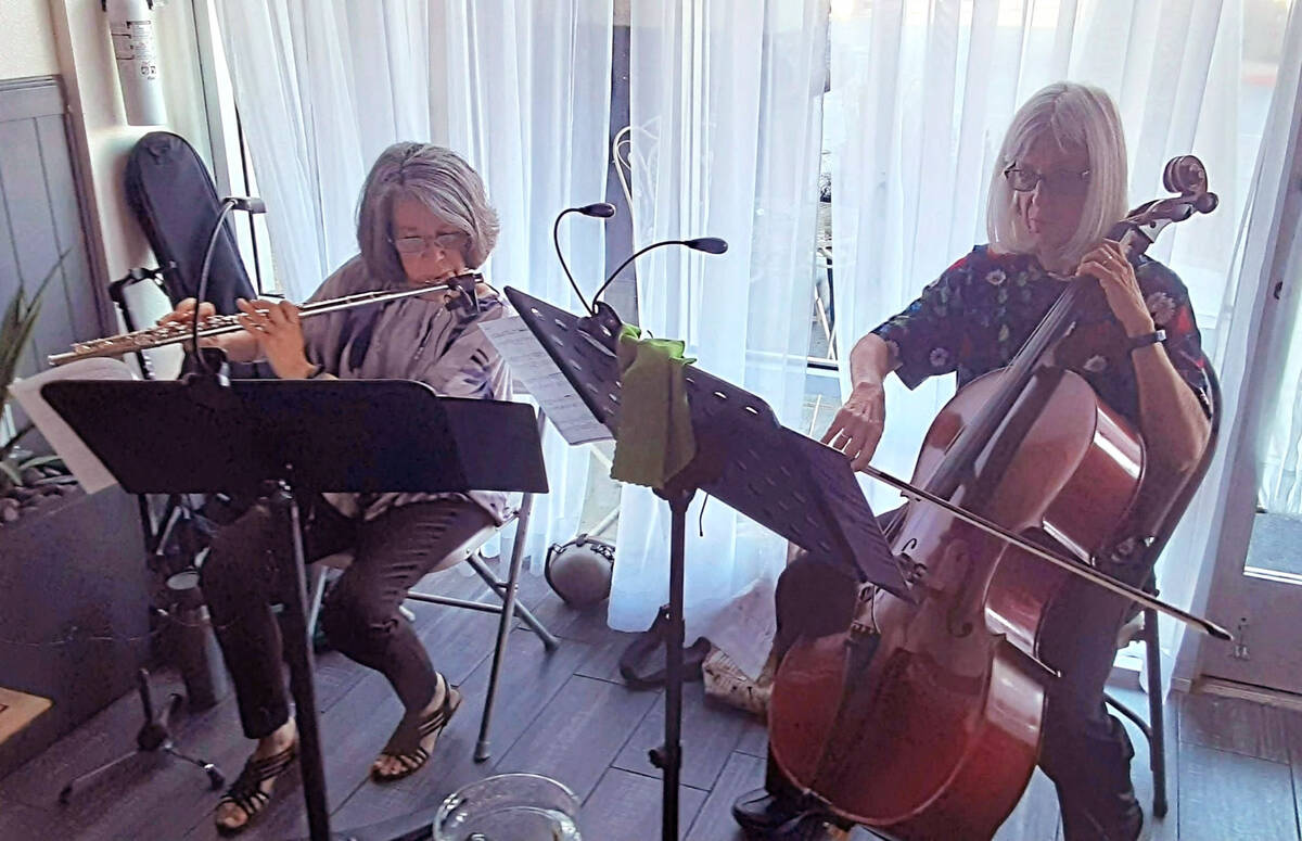 Classically trained musicians Desert Song Duo perform an eclectic mix of musical genres at the ...