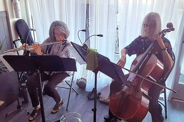 Classically trained musicians Desert Song Duo perform an eclectic mix of musical genres at the ...