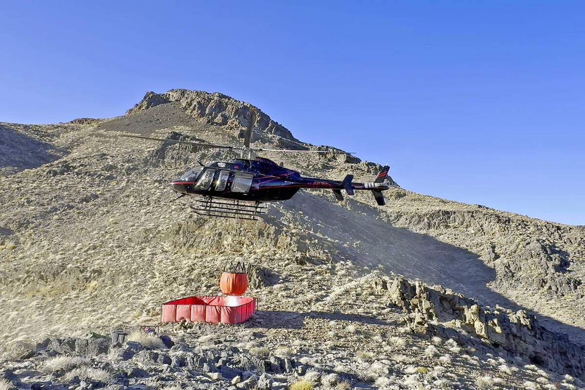 Conditions in and around Southern Nevada have been so dry this year that the Nevada Dept. of Wi ...