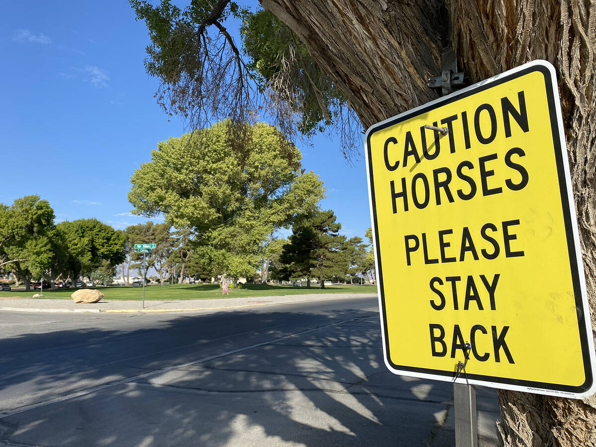 Signs cautioning people to stay back from the wild horses in town have no had the impact hoped ...