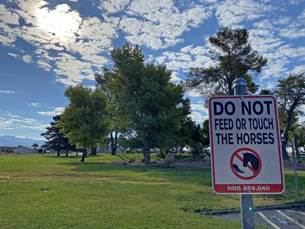 The Calvada Eye is a popular place for residents and visitors to stop by and view the Calvada h ...