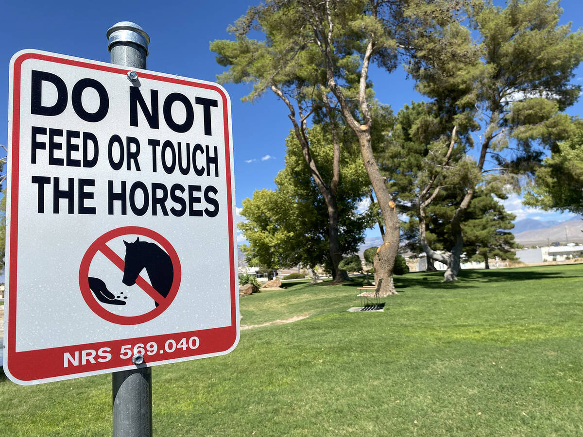 Under Nevada law, it is illegal to feed or touch a wild horse or burro and signs denoting this ...