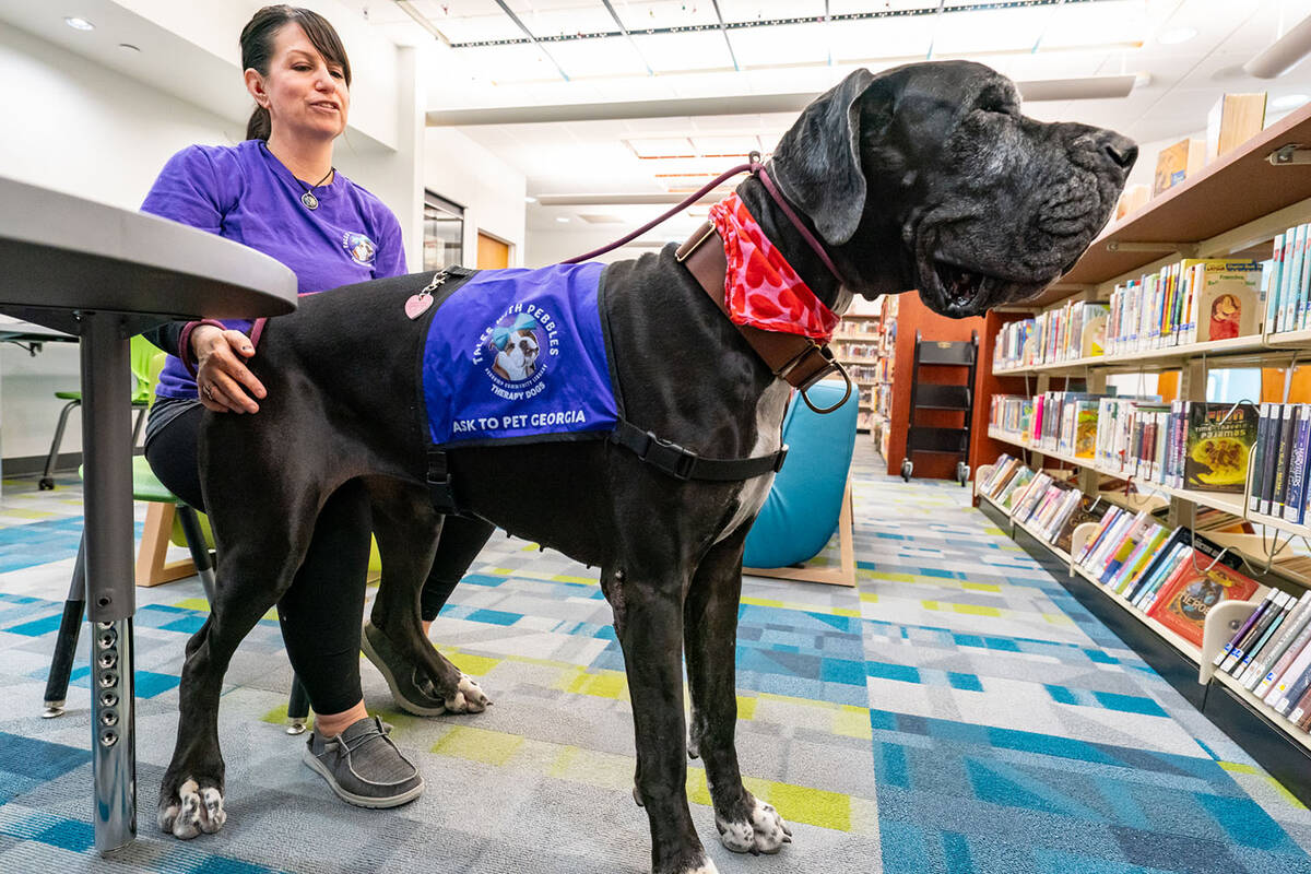 Georgia is one the therapy dogs children can read to during a Tales with Pebbles session. (John ...