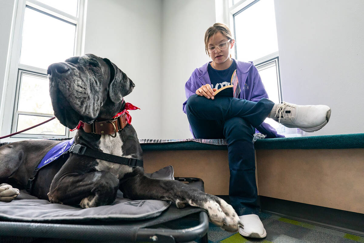 MarissaAnn Roberts reads a book to Georgia at the Pahrump Community Library on Tuesday, Sept. 3 ...