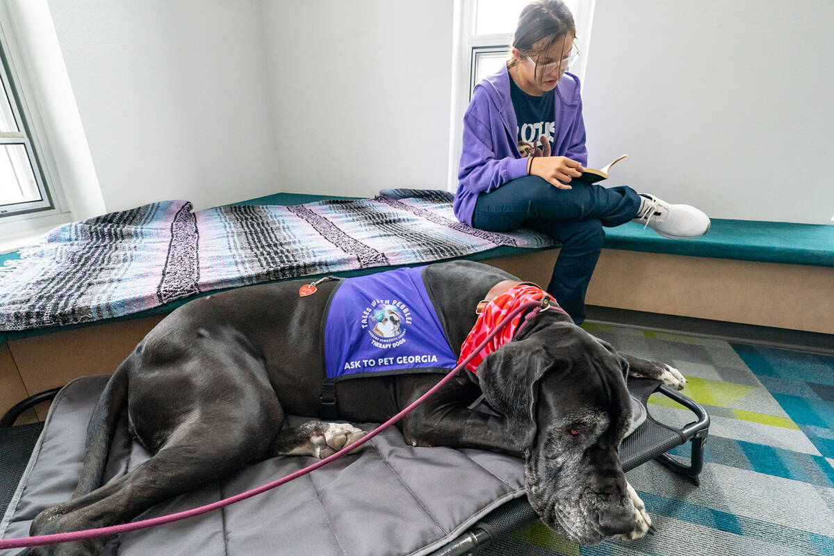 “I did it in Las Vegas as well and it was so successful,” Founder Dee Mounts detailed. “T ...