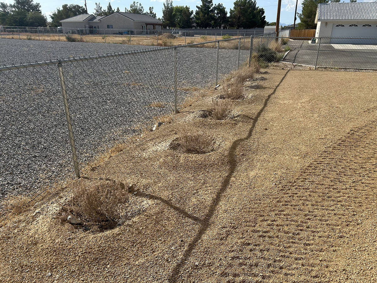 Mike Reynolds said he ended up buying the plants for installation, even though John Pereyda was ...