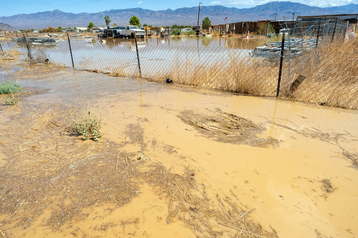 Muddy, debris-filled waters still stand in and around the properties of Pahrump residents who b ...