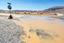 The intersection of Leslie St. and Linda St. one just one of many north-end intersections to se ...