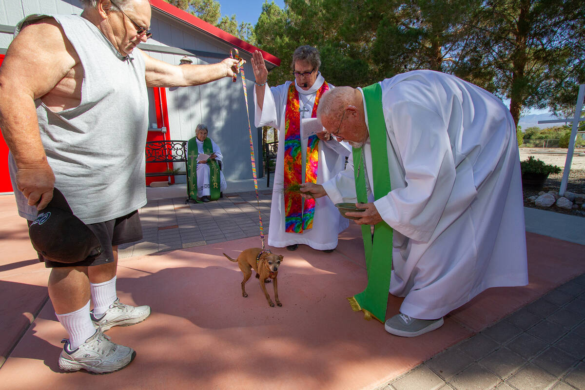 To honor of the Feast of St. Francis of Assisi, Our Lady of the Valley Catholic Church, located ...