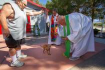 To honor of the Feast of St. Francis of Assisi, Our Lady of the Valley Catholic Church, located ...