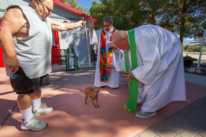 To honor of the Feast of St. Francis of Assisi, Our Lady of the Valley Catholic Church, located ...