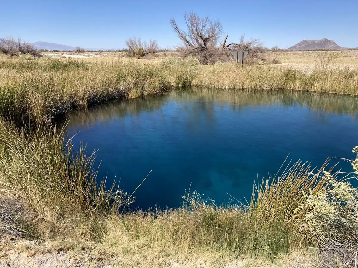 The Ash Meadows National Wildlife Refuge near Amargosa Valley is part of the U.S. Fish and Wild ...