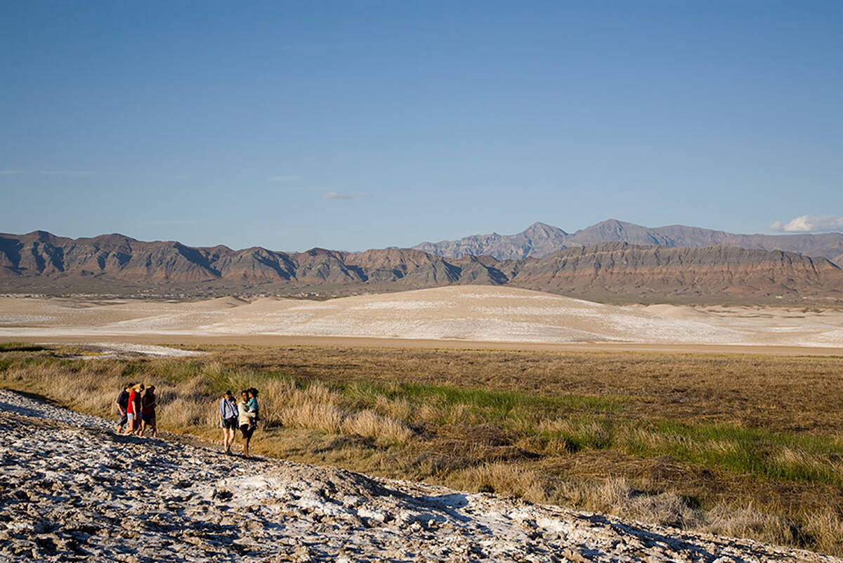“Beside the date shakes and the date nut bread, the hiking is probably what we’re known for ...