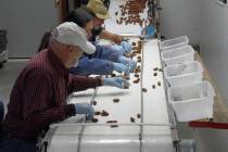 “Now it’s harvest, so it’s just beginning, but it’s been a really good season,” China ...