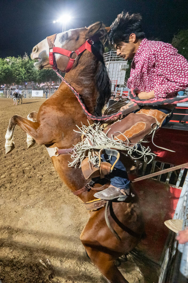 Each night, between 75-80 contestants, local and from around the region, competed in six diffe ...