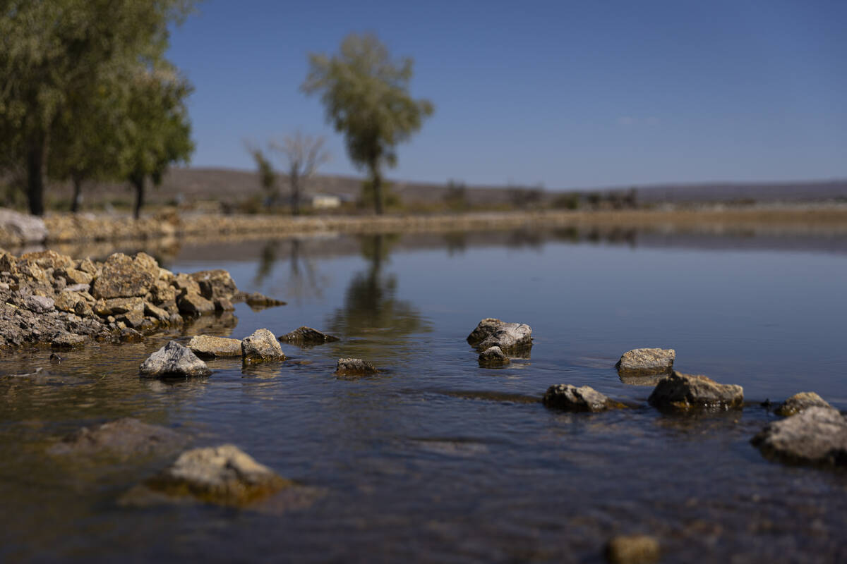 A view of a manmade pond on land owned by Ed Ringle, which is also home to several natural spri ...