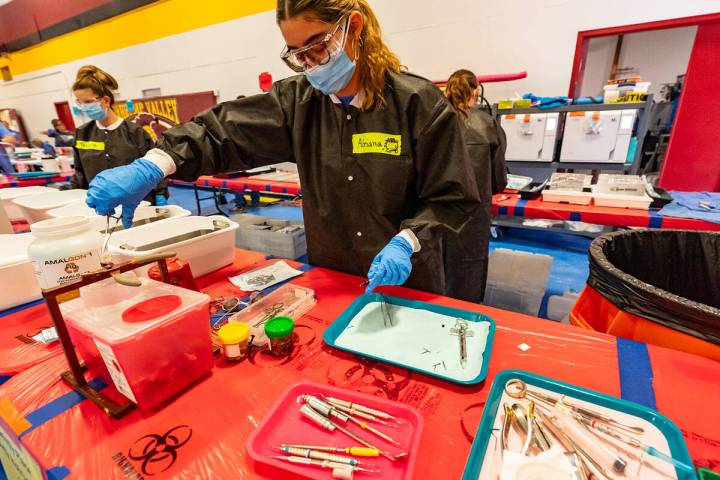 According to a RAM press release, more than 450 patients were served at this year’s clinic, w ...