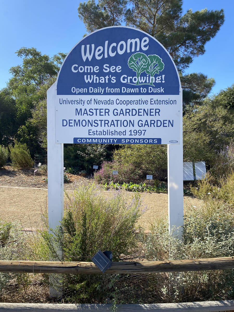 The Pahrump Master Gardeners maintain the Demonstration Garden at the URN Cooperative Extension ...