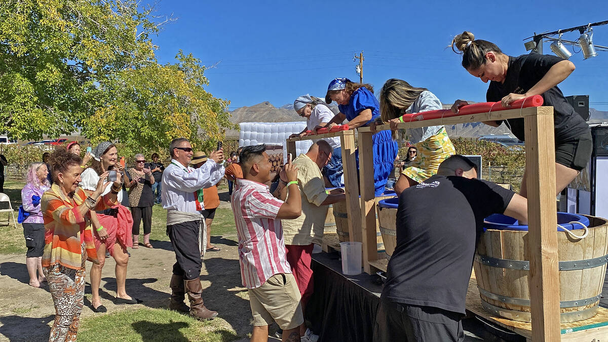Charleston Peak Winery and Artesian Cellars partnered to host the 17th Annual Grape Stomp on Sa ...