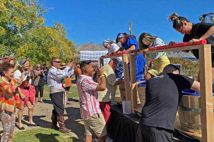 Charleston Peak Winery and Artesian Cellars partnered to host the 17th Annual Grape Stomp on Sa ...